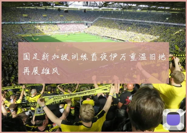 国足新加坡训练首夜伊万重温旧地再展雄风