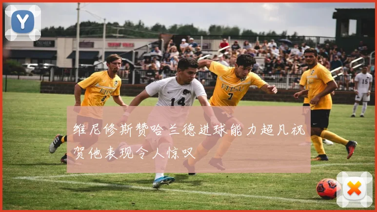 维尼修斯赞哈兰德进球能力超凡祝贺他表现令人惊叹