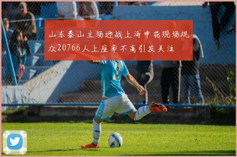 山东泰山主场迎战上海申花现场观众20766人上座率不高引发关注